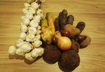 Ekologiczne warzywa BIO z polskich gospodarstw