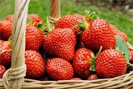 Nowość w Spiżarni Młodości - truskawki z certyfikatem BIO