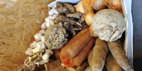 Ekologiczne warzywa z POLSKICH gospodarstw